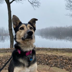 Meet your Posher, Maggie